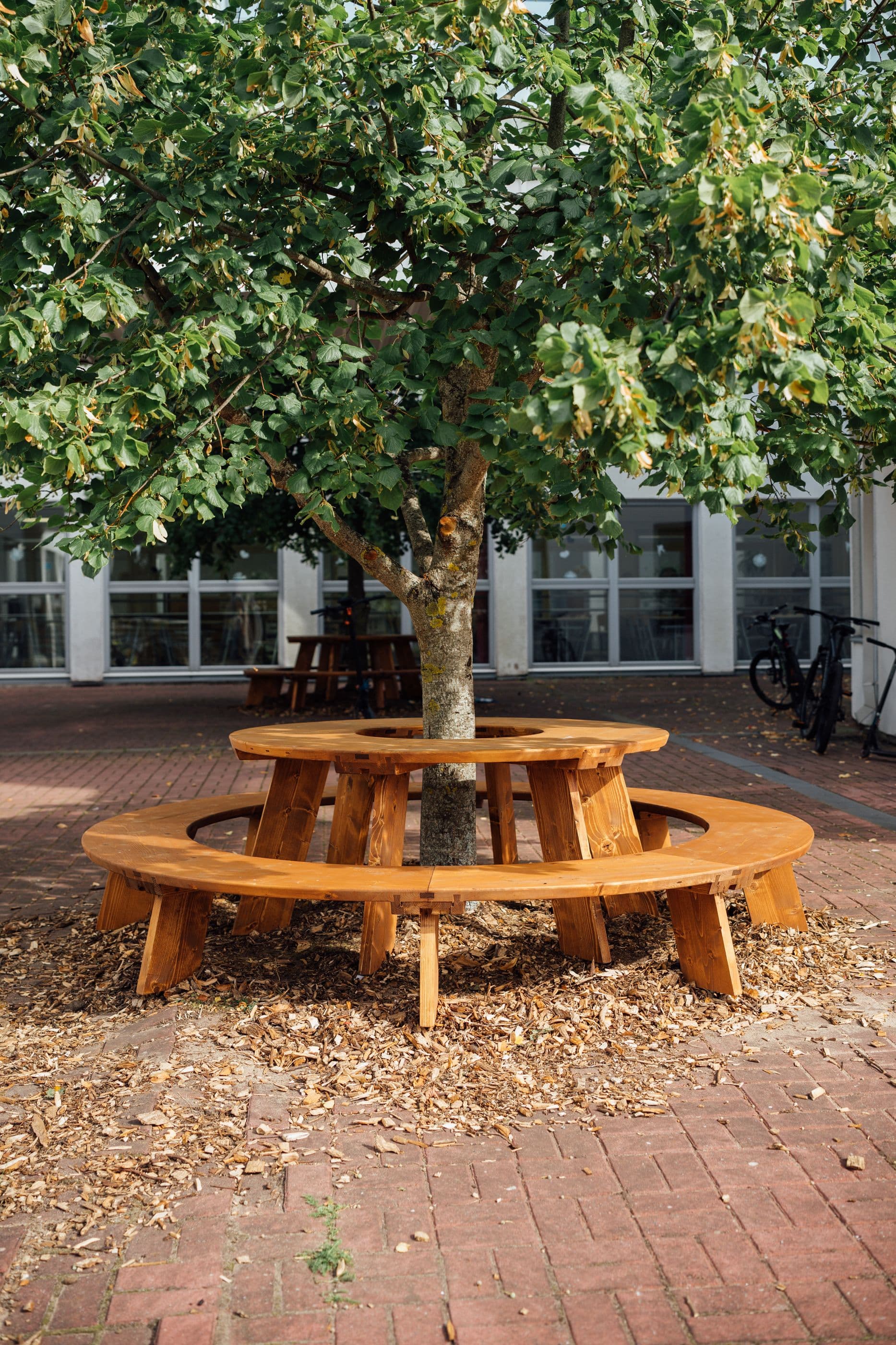 Eritellimusel valmistatud ümmargune puidust pink ja laud ümber puu – Puidubutiigi välimööbel avalikus ruumis.