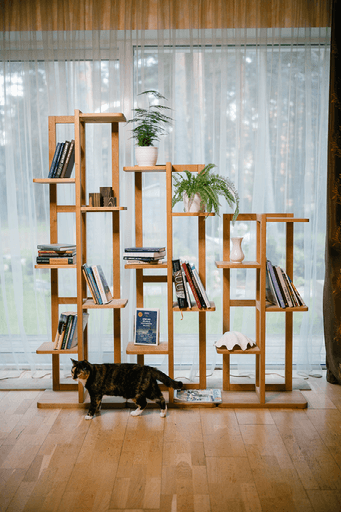 Disainriiulid, mis muudavad kodu ilmet