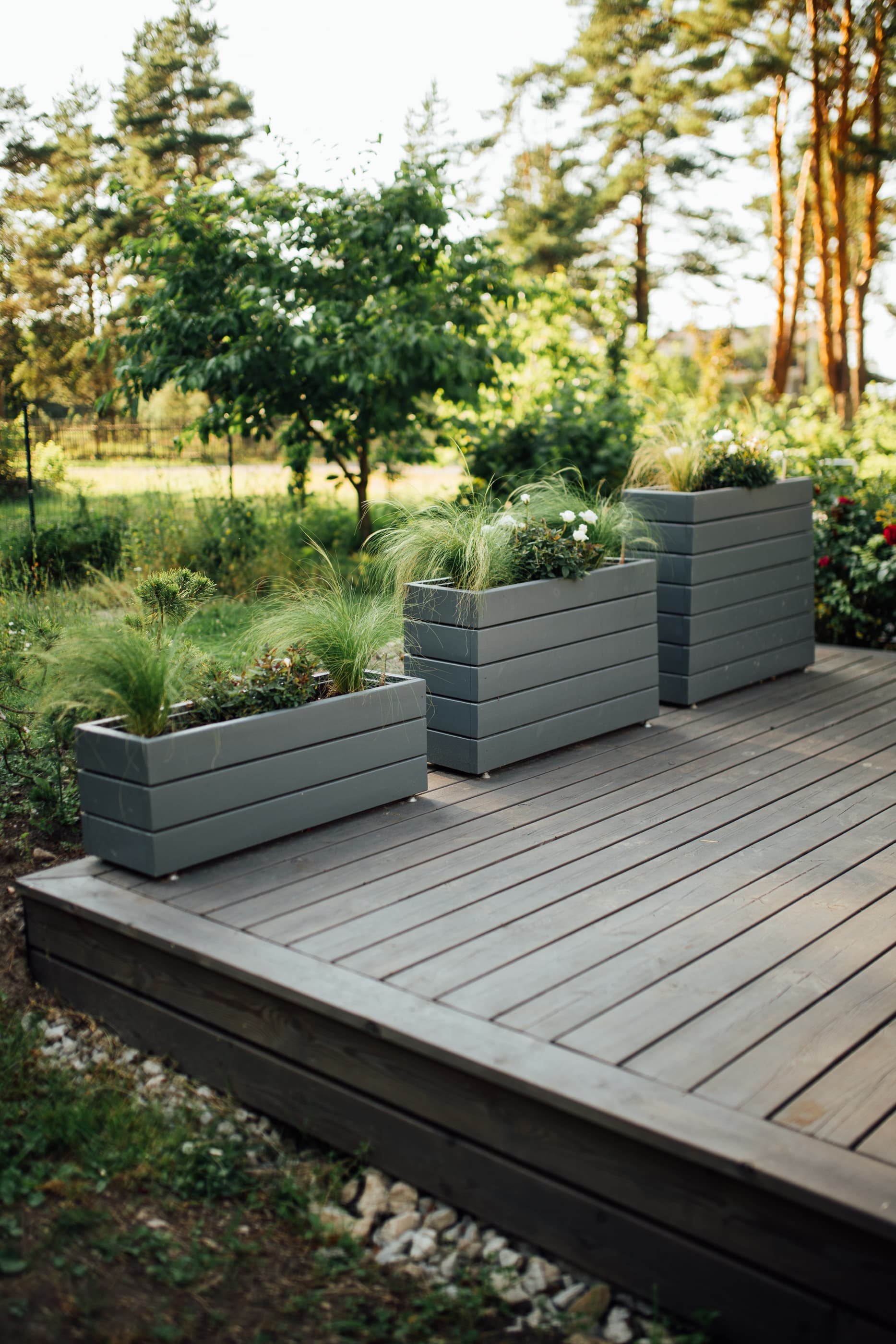 Lillekastid foto